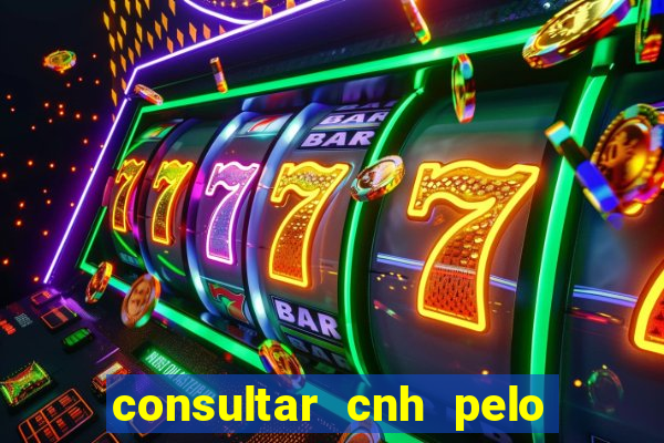 consultar cnh pelo cpf sp